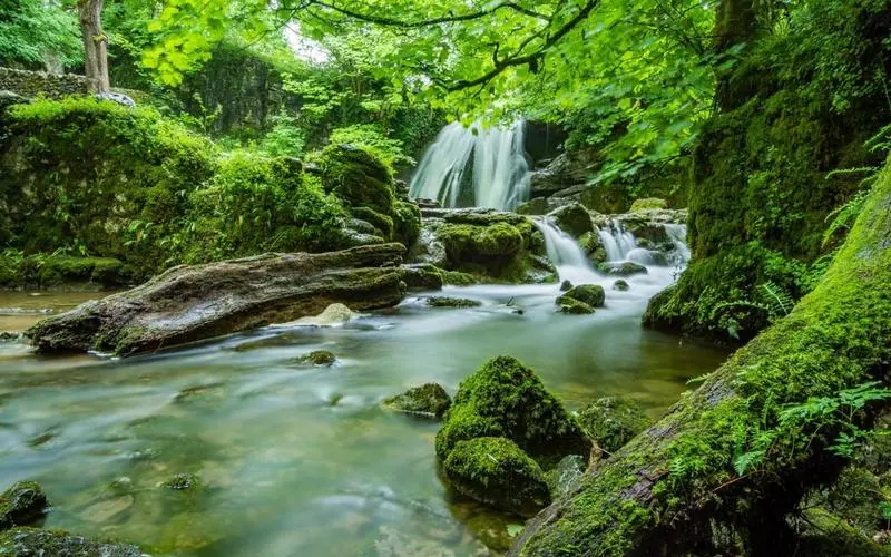 高质量可靠性全自动